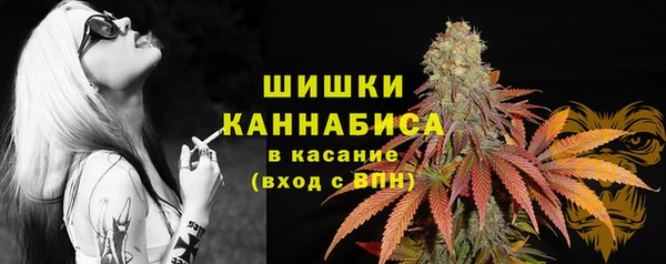 бошки Абаза