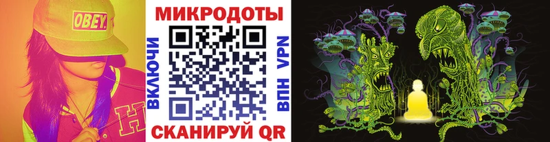 наркота Аксай Галлюциногенные грибы Psilocybe